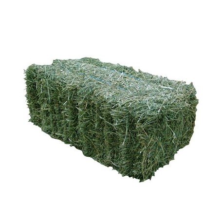 PRIME LUCERNE HAY BALE