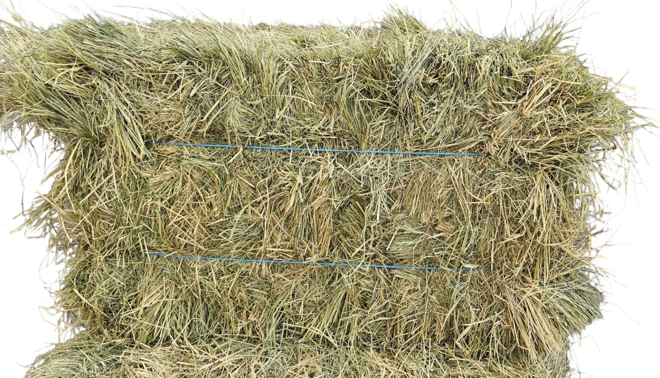 TEFF HAY