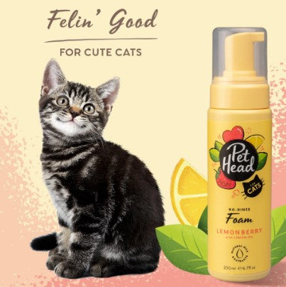 Pet Head Felin' Good Foam 200ml