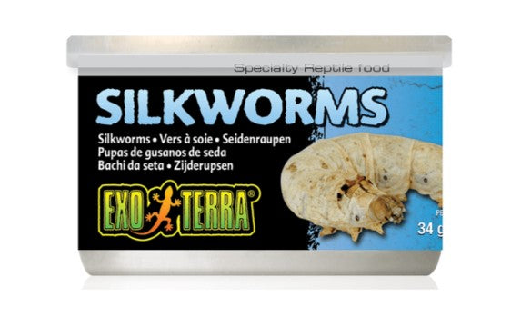 Exo Terra Wild Silkworms Medium 34gm