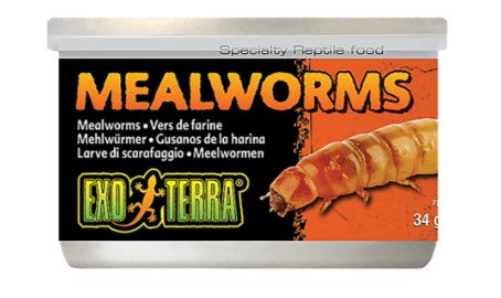 Exo Terra Mealworms 34gm