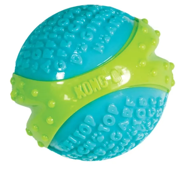 Kong Dog Core Strength Toy Ball