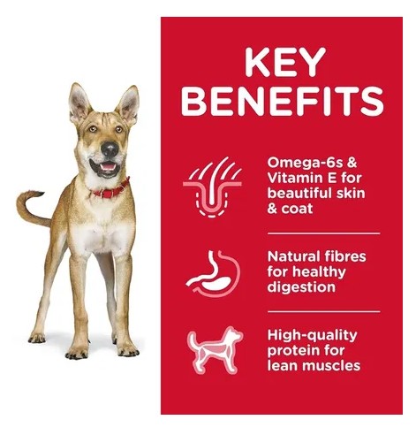 HILLS DOG ADULT ADVANCED FITNESS 12KG