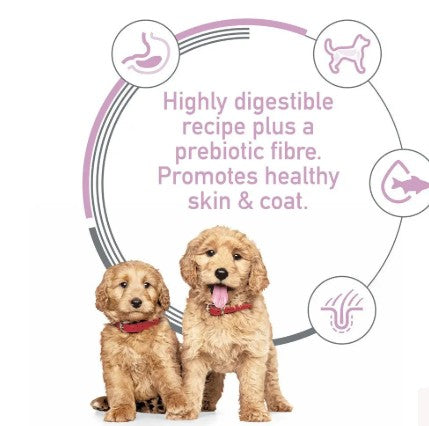  HILLS PUPPY SENSITIVE STOMACH & SKIN SALMON 354G 12PK