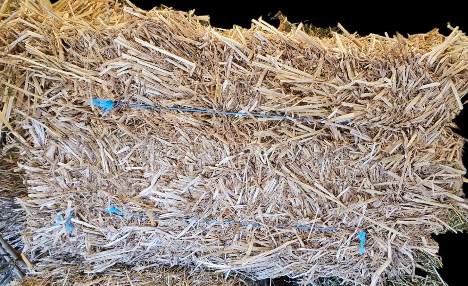 STRAW HAY BALE