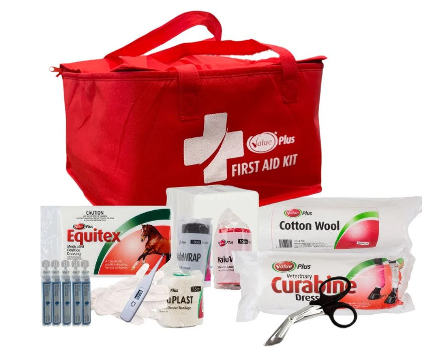 ValuePlus First Aid Kit