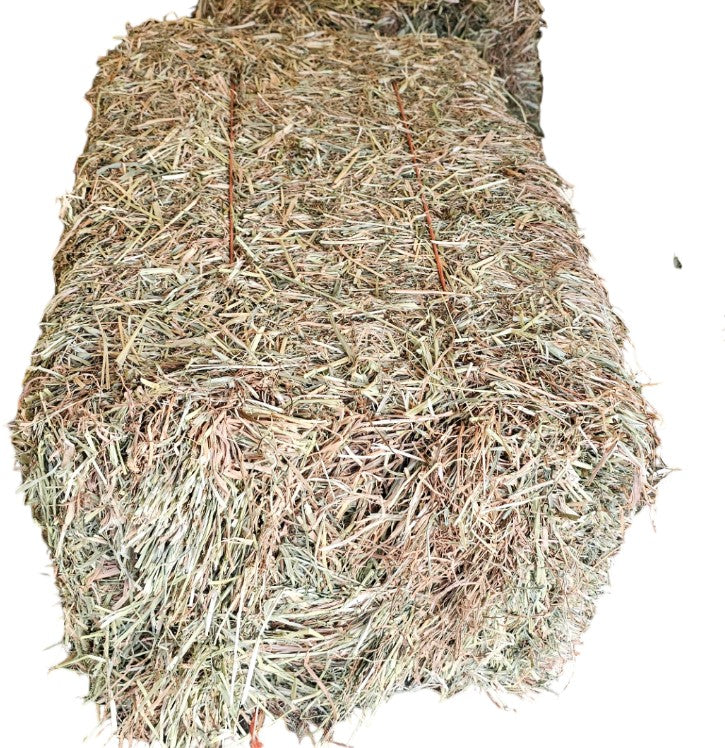 RYE HAY