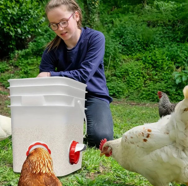 Chicken Feeders - DIY