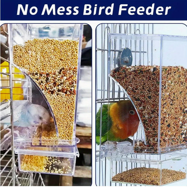 Bird Feeder