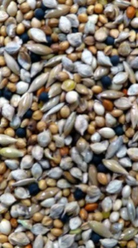 Avigrain Finch Seed 20kg