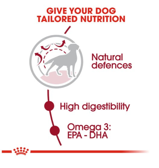 ROYAL CANIN MEDIUM ADULT DOG DRY FOOD