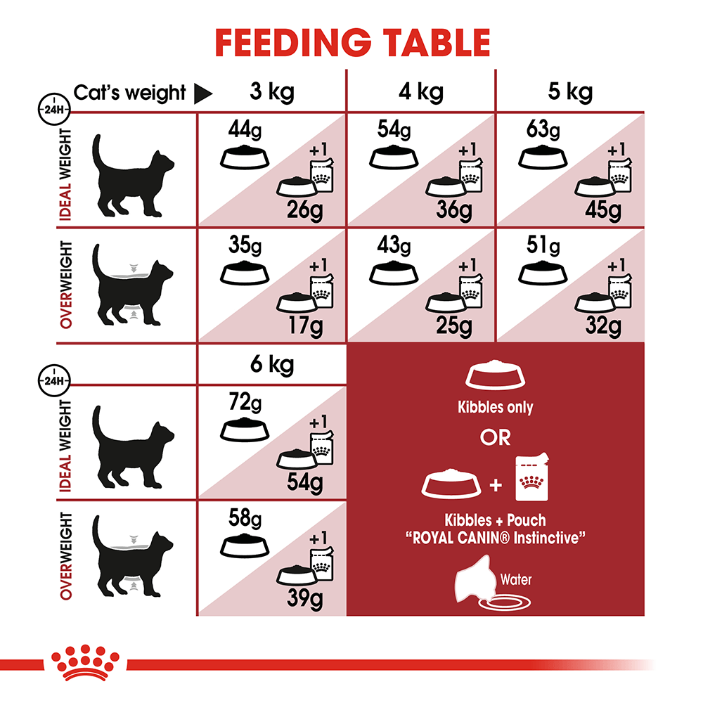 ROYAL CANIN CAT INDOOR & OUTDOOR FIT 4KG