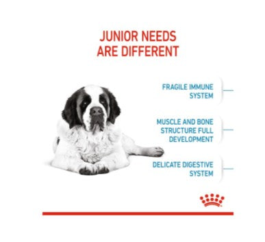 ROYAL CANIN GIANT JUNIOR 15KG