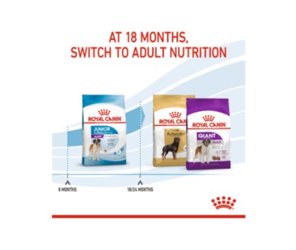 ROYAL CANIN GIANT JUNIOR 15KG