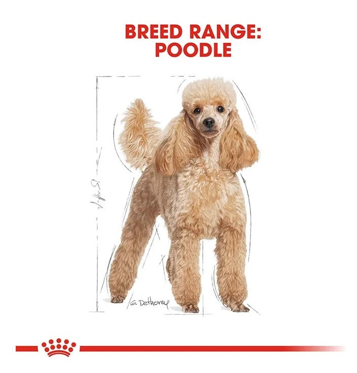 ROYAL CANIN DOG DRY ADULT POODLE 1.5KG