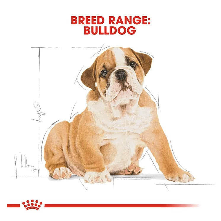 ROYAL CANIN DOG BULLDOG PUPPY 12KG