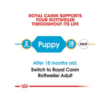 ROYAL CANIN Rottweiler Puppy 12kg