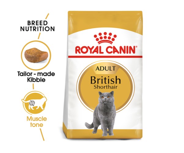 Royal Canin Biritish Shorthair Adult 2kg