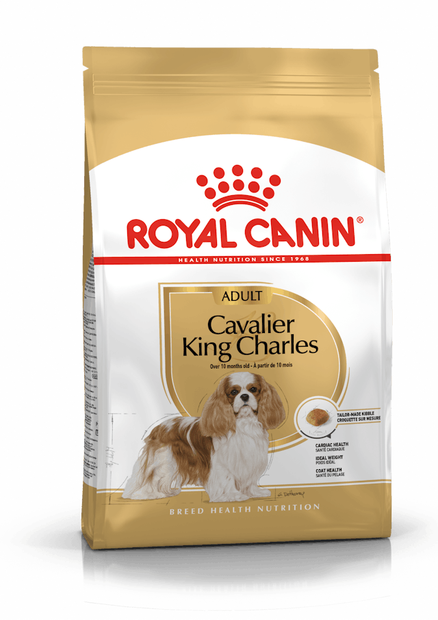 ROYAL CANIN ADULT CAVALIER KING CHARLES