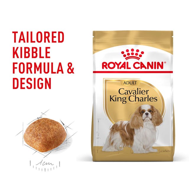 ROYAL CANIN ADULT CAVALIER KING CHARLES