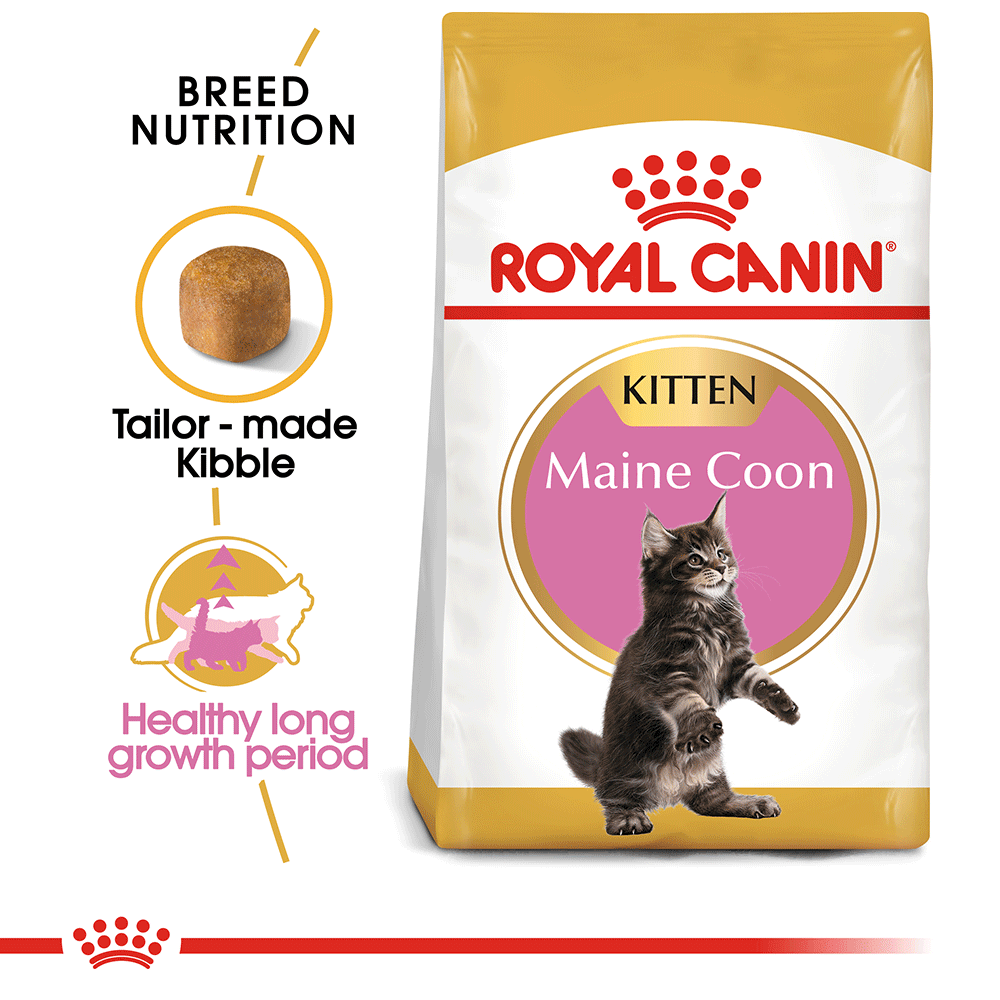 ROYAL CANIN KITTEN MAINE COON DRY FOOD 2KG