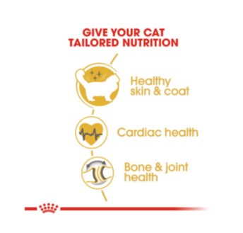 ROYAL CANIN CAT RAGDOLL ADULT 2KG