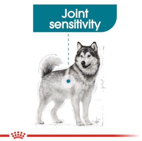 ROYAL CANIN MAXI JOINT CARE 10kg