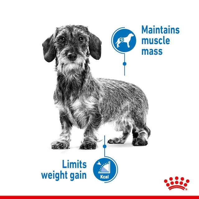 ROYAL CANIN MINI ADULT LIGHT WEIGHT CARE 3KG