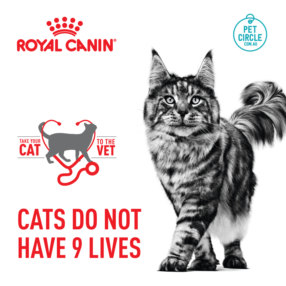 ROYAL CANIN ADULT CAT LIGHT WEIGHT CARE DRY FOOD 3KG