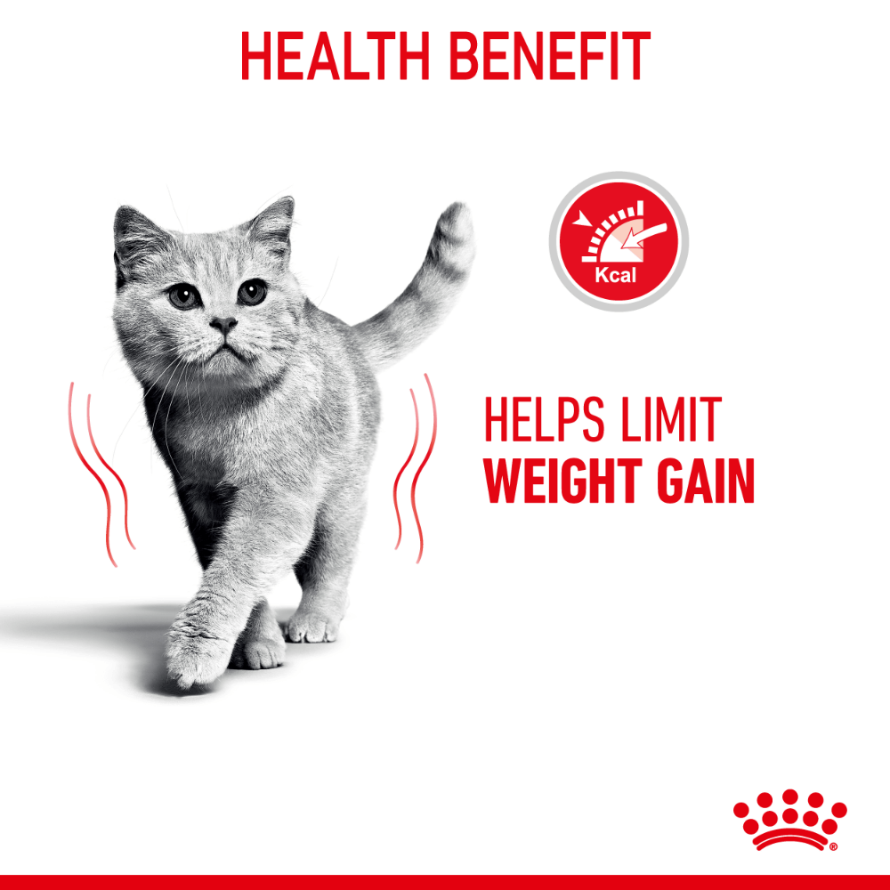 ROYAL CANIN ADULT CAT LIGHT WEIGHT CARE DRY FOOD 3KG