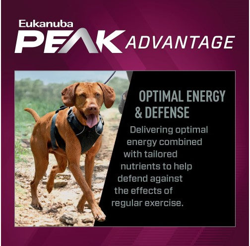 EUKANUBA PREMIUM PERFORMANCE EXERCISE ADULT 15KG