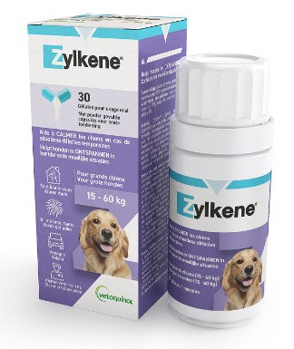 ZYLKENE CAPSULES 450MG