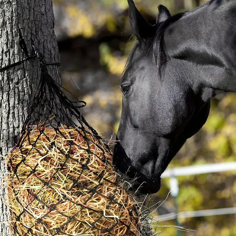 Slow Feed Hay Net - Horses, Sheep & Donkeys