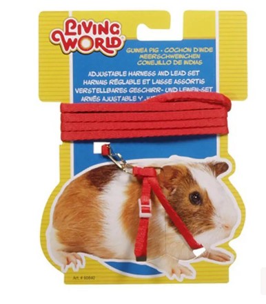 SMALL ANIMAL CARE HARNESS&LEAD SET GUINEA PIG