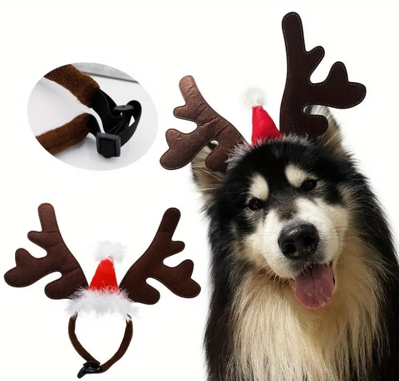 Pet Reindeer Antlers Headband with Santa Hat