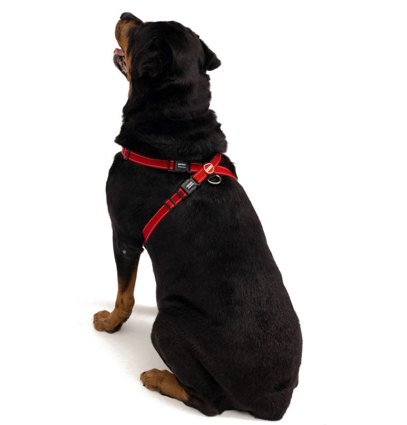 EZYDOG Chest Plate Harness Red