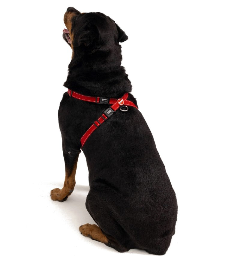 EZYDOG Chest Plate Harness Red