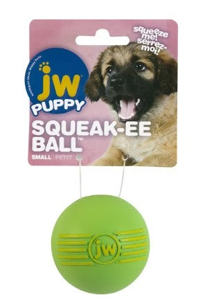 Jw isqueak ball best sale