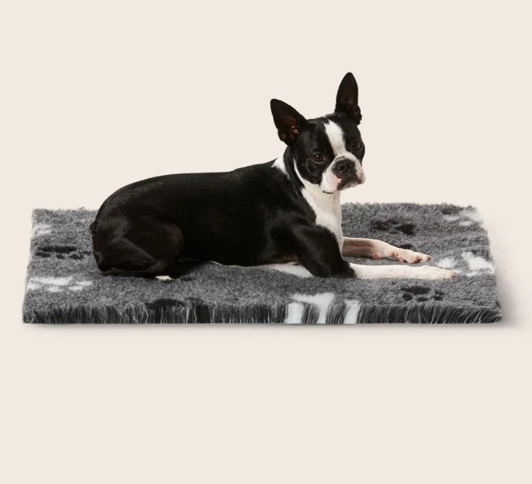 Snooza Stay Dry Mat grey XL