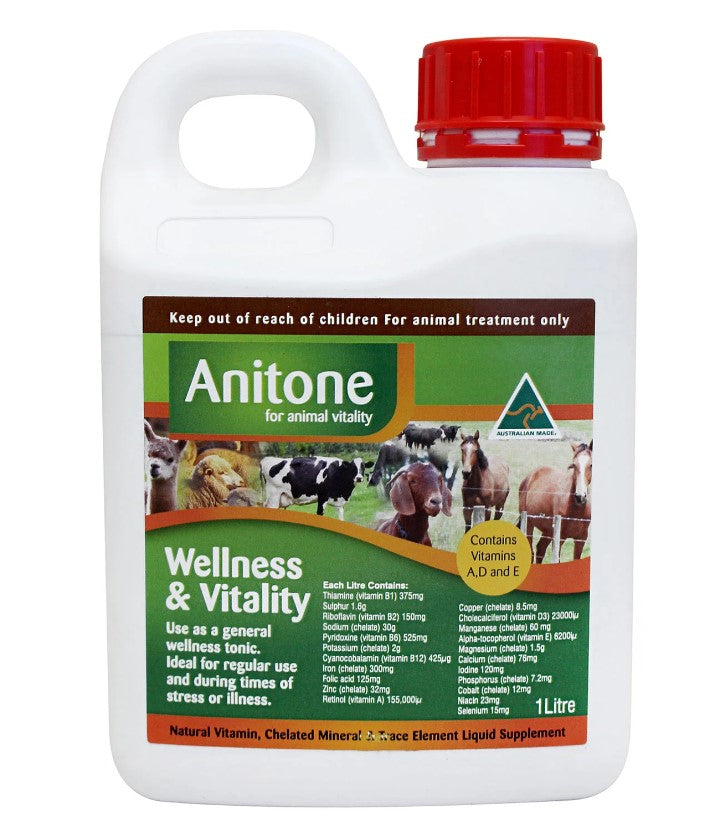 Anitone Wellness & Vitality Liquid Feed Supplement