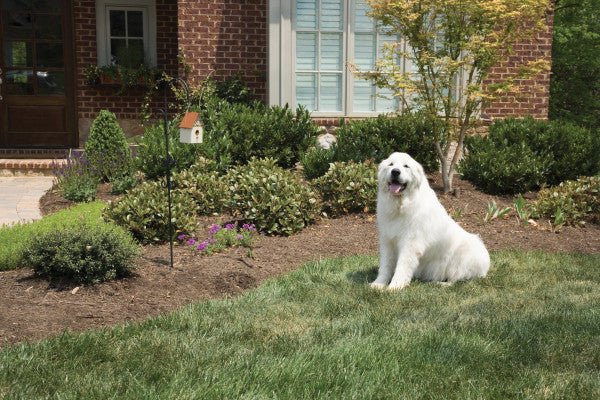 PetSafe® Outdoor Bark Control