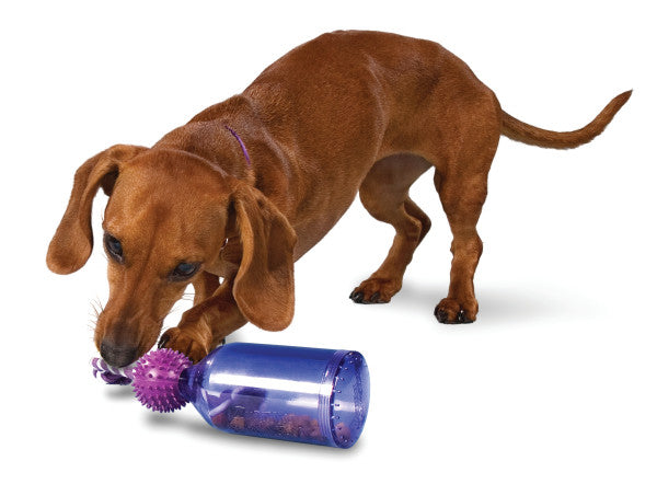 PetSafe® Busy Buddy® Tug-a-Jug