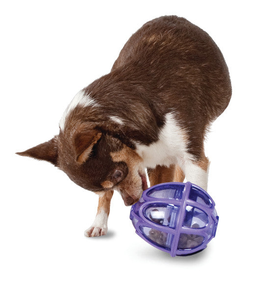 PetSafe® Busy Buddy® Kibble Nibble Feeder Ball, Small/Large