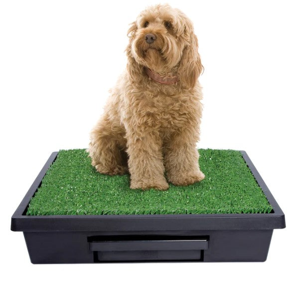 PETSAFE THE PET LOO