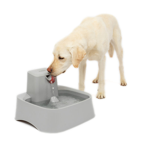 PetSafe® Drinkwell® 1.8L,3.7L and 7.5L Pet Fountain