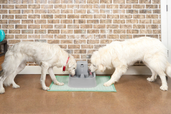 PetSafe® Drinkwell® 1.8L,3.7L and 7.5L Pet Fountain