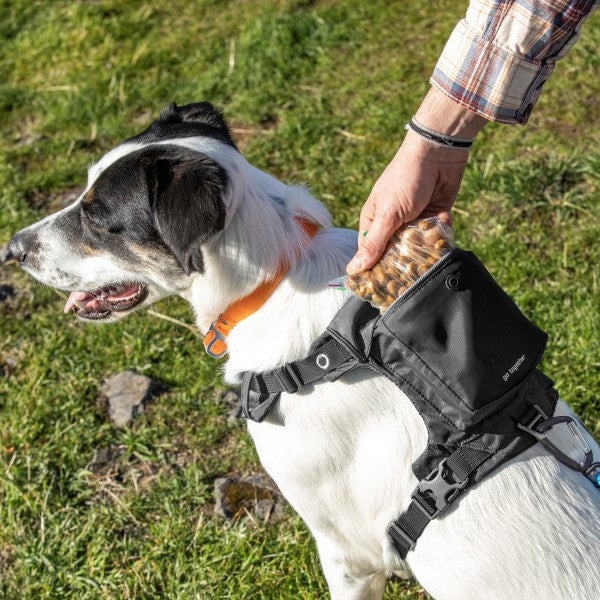 Kurgo Stash n' Dash Harness