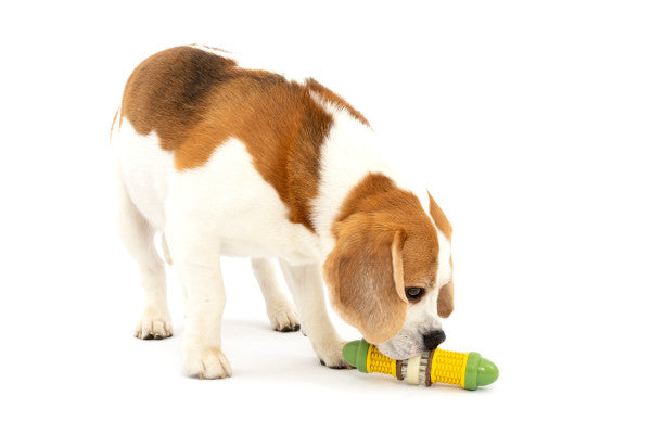 PetSafe® Busy Buddy® Cravin’ Corncob Treat Ring Dog Toy, Small/Medium