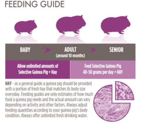 SCIENCE SELECTIVE BALANCED GUINEA PIG 2KG