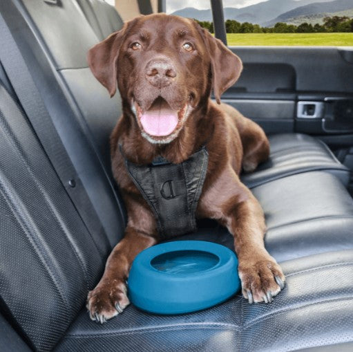 KURGO SPLASH-FREE WANDER WATER BOWL